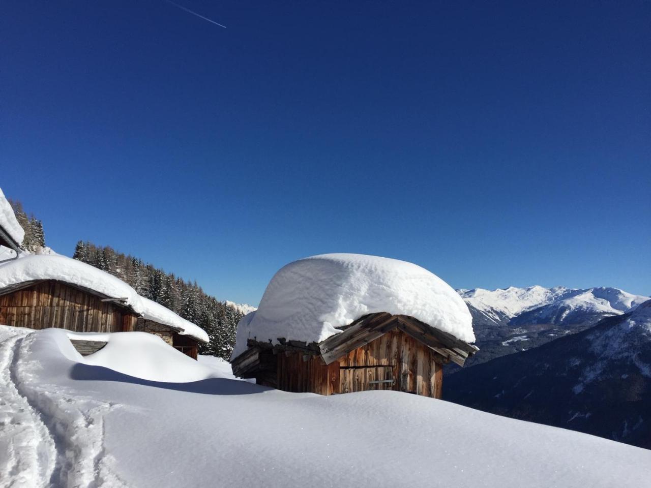 Alpenferienwohnung Strickner Neustift im Stubaital Exterior photo